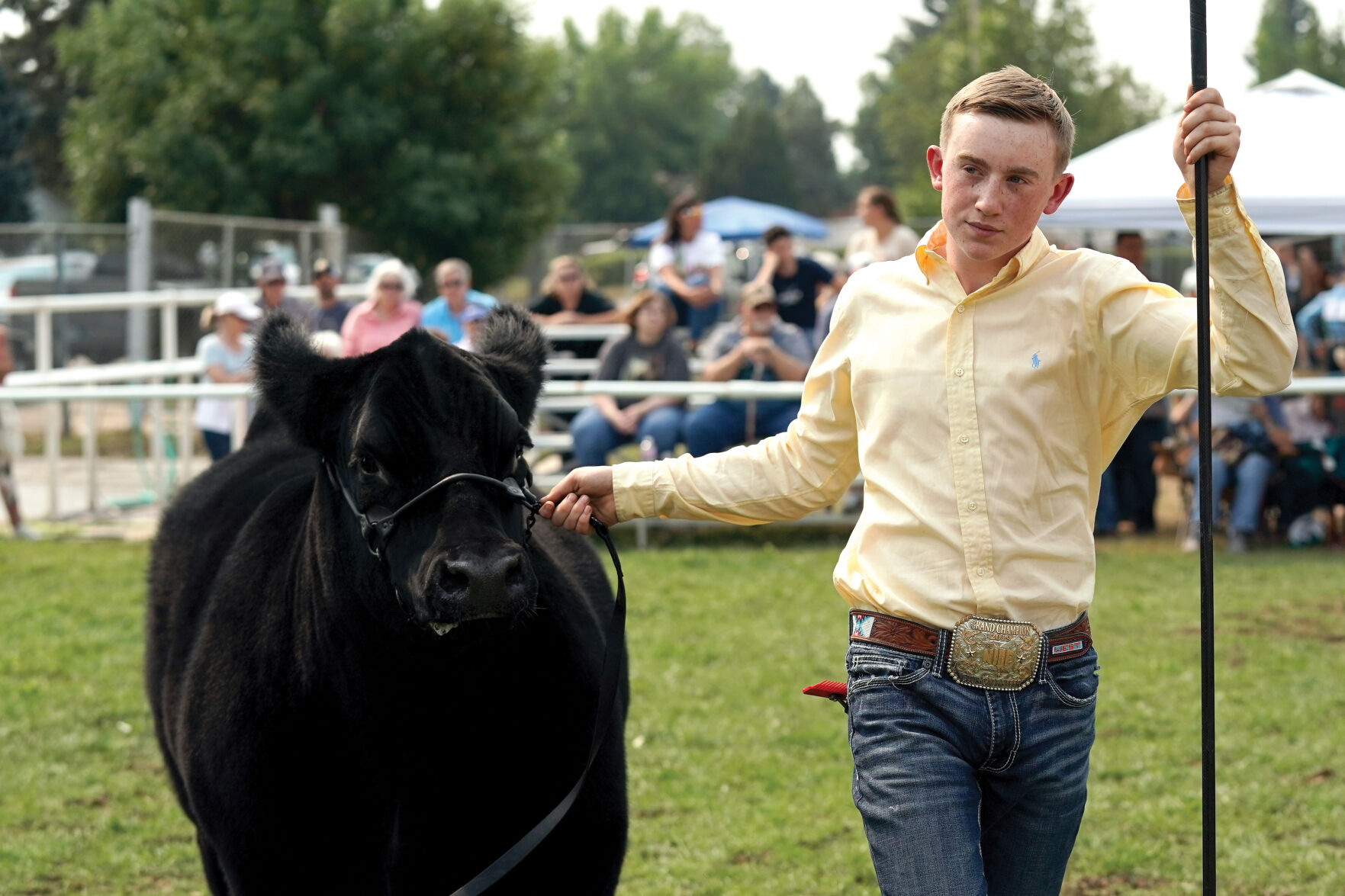 Beef Show Standalones 001.jpg